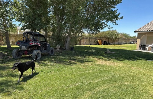 Littlefield Cottage | Cozy, Clean cottage Close to Mesquite, NV, golf courses, casinos, & ATV riding