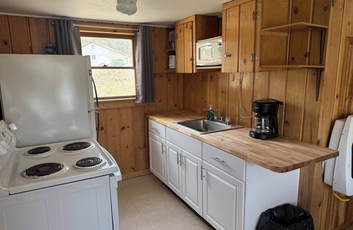 Republic Cabin | Cozy Lakefront 2 Bedroom Cabin with Wood-Burning Fireplace & Dock Access