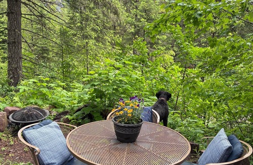 Clark Fork Cabin | Cozy Mountain Bungalow for camping, relaxing, & exploring