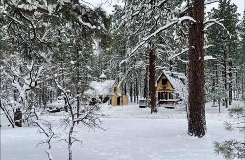 Williams Cabin | Cozy Mountain Cabin AZ
