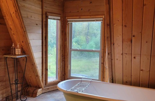 Kingston Cabin | Cozy, rustic private cabin in the woods! Skip to the river & CDA bike trail!