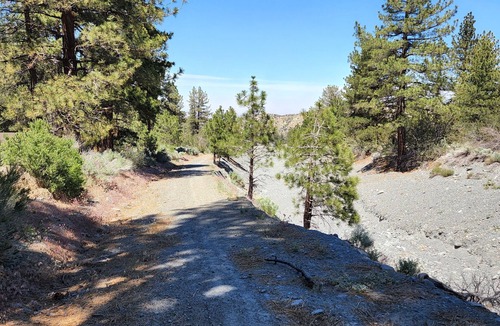 Wrightwood Cabin | Cozy sky retreat in Wrightwood