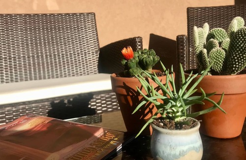 Page House | Desert Sky Villa--BRAND NEW & FABULOUS!