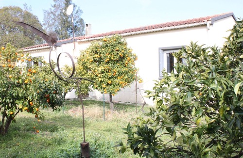 Ghisonaccia House | Detached villa T4 in orchard 10 km from the sea