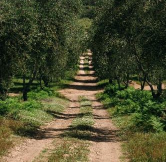 Nessa Hotel | Domaine Acciola