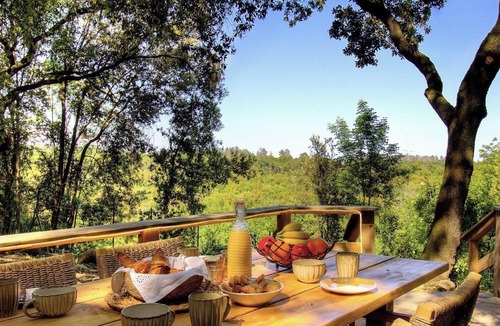 Prunelli-di-Fiumorbo House | Domaine Amuredda - PRUNELLI DI FIUMORBO