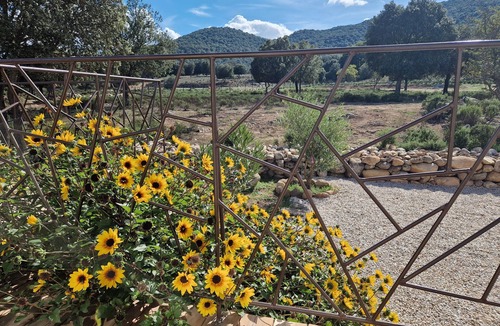 Moltifao House | Domaine U FILANCIU - Casa Chiara- Centru di Corsica