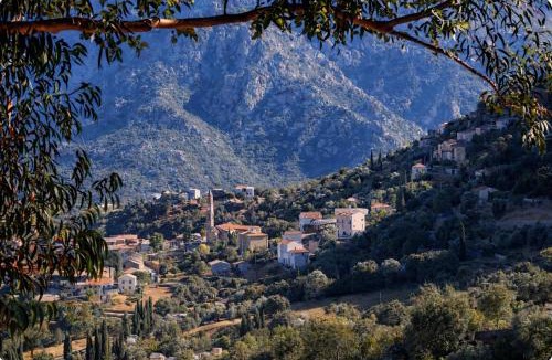 Moltifao House | Domaine U Filanciu - Centru di Corsica