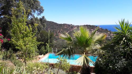 Conca Villa | Domise