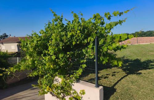 Taglio-Isolaccio Apartment | Doume et Coco T1 30M2 Vue mer