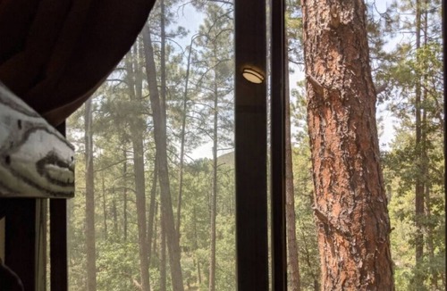 Prescott RV Rental | E4 Fresh Cool Mountain Air Glamping Forest