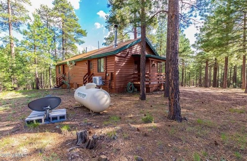 Heber Cabin | Elk Cabin - Forest Lakes
