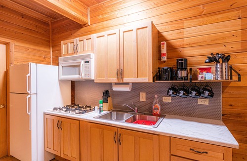 Christopher Creek Cabin | Elk Hollow Cabin with CHARM Backs National Forest, WIFI, stocked kitchen, BBQ