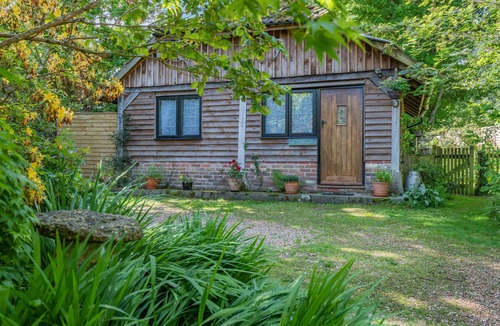 New Forest District Cottage | Endymion