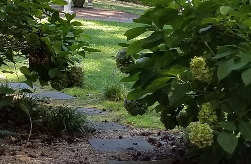 Reedville House | Enjoy a relaxing spring getaway at our private & peaceful waterfront cottage!