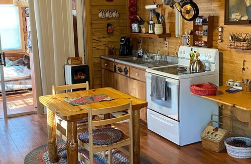 Denniston Cabin | Extra Nice Cabin 2 Fully Furn. Rooms+Hot Tub~Wi-Fi~ Barley the 12 'Bear
