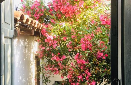 Skiathos Town House | Fairytale