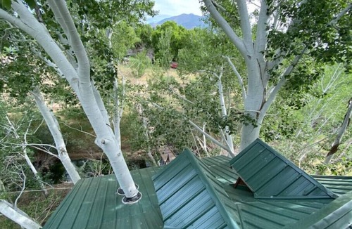Nephi House | Fantasy Treehouse and Resort