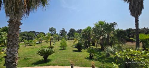 Castellare-di-Casinca House | Fare MANUIA