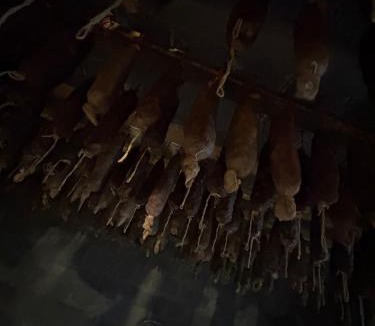 Saliceto House | Ferme auberge U sapè fà