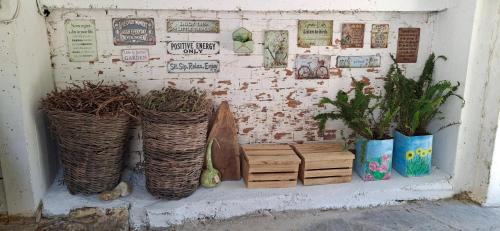 Pitrofos House | Flower house