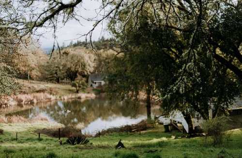 Cloverdale House | Forest Cottage