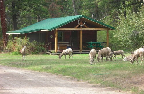 Clinton Cabin | Forest Service Type Cabins 30 Miles outside Missoula-