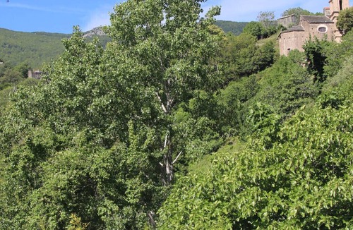 Carcheto-Brustico Apartment | Fortified medieval hamlet.