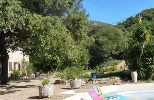 Patrimonio Apartment | Gîte for 4 in old wine cellar Saint Florent malocationencorse