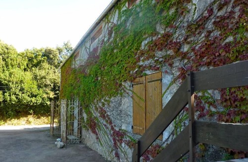 Patrimonio Apartment | Gîte for 4 in old wine cellar Saint Florent malocationencorse