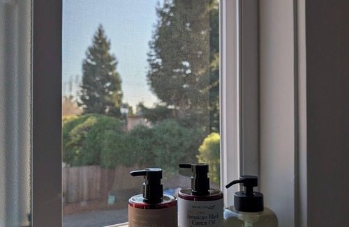South Berkeley Apartment | Gallery Look Cozy 2-bedroom apartment WIFI/BART/PARKING in South Berkeley