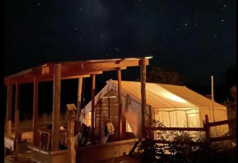 Virgin Other | Glamping at Zion on the 9 The Dirty Dog