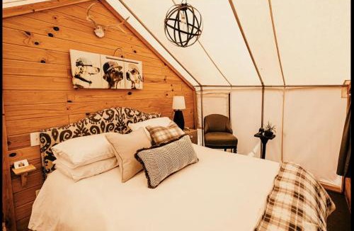 Virgin Other | Glamping at Zion on the 9 The Dirty Dog