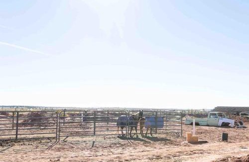 Fredonia House | Glitter and Grit! The Wild West 40 Homestead