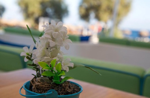 Agios Georgios Apartment | Glykeria Mini Suites