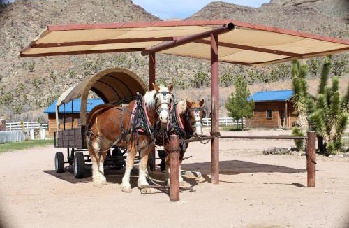 Meadview House | Grand Canyon Western Ranch