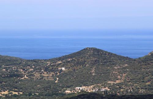 Belgodere Hotel | Hôtel Le Niobel