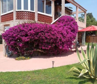 La Marana Apartment | HAUT VILLA MESANGES EN BORD DE MER !