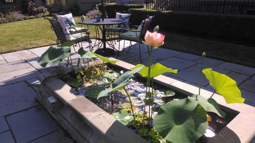 Newport Bed & Breakfast | Hilltop Inn