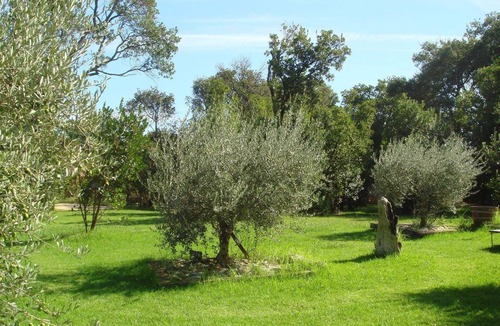 Poggio-Mezzana House | Holiday Home in Corsica near the Beach