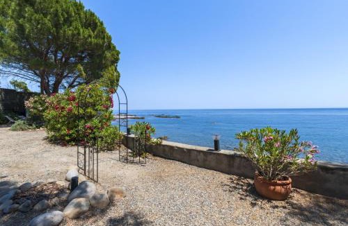 Sari-Solenzara House | Holiday Home Signoria by Interhome