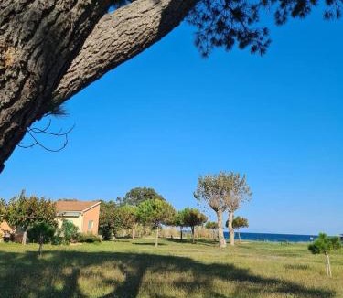Poggio-Mezzana House | Holiday homes in Poggio-Mezzana, France