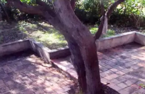 Isolella House | Homerez - 100 m away from the beach! House for 6 ppl. with garden at Pietrosella