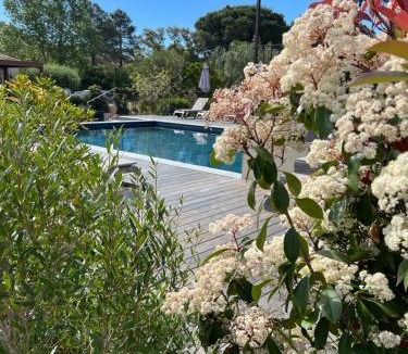 Santa Giulia Hotel | Hotel les jardins Sta Giulia avec piscine