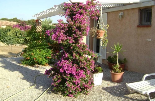 Marine de Saint Ambroggio House | House/Villa - Lumio st ambroggio