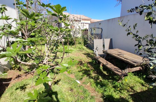 Penta-di-Casinca House | House with above-ground pool