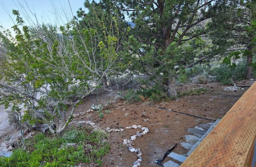 Baker House | Huge house with Gorgeous views of The Great Basin National Park!
