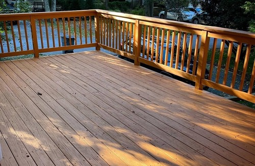 Annapolis Cottage | Idyllic Cottage Near Annapolis with Treehouse Vibes & Outdoor Charm
