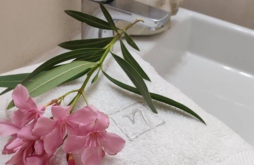 Mikros Gialos Hotel | Ilianthos Apartments & Studios