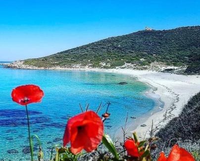 Aregno Apartment | La Balagne ça nous gagne